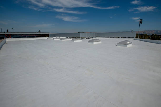 Best Green or Eco-Friendly Roofing Solutions  in Siesta Acres, TX